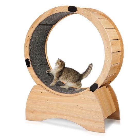 Treadmill With Carpeted Runway for Cats - Pet's Dream