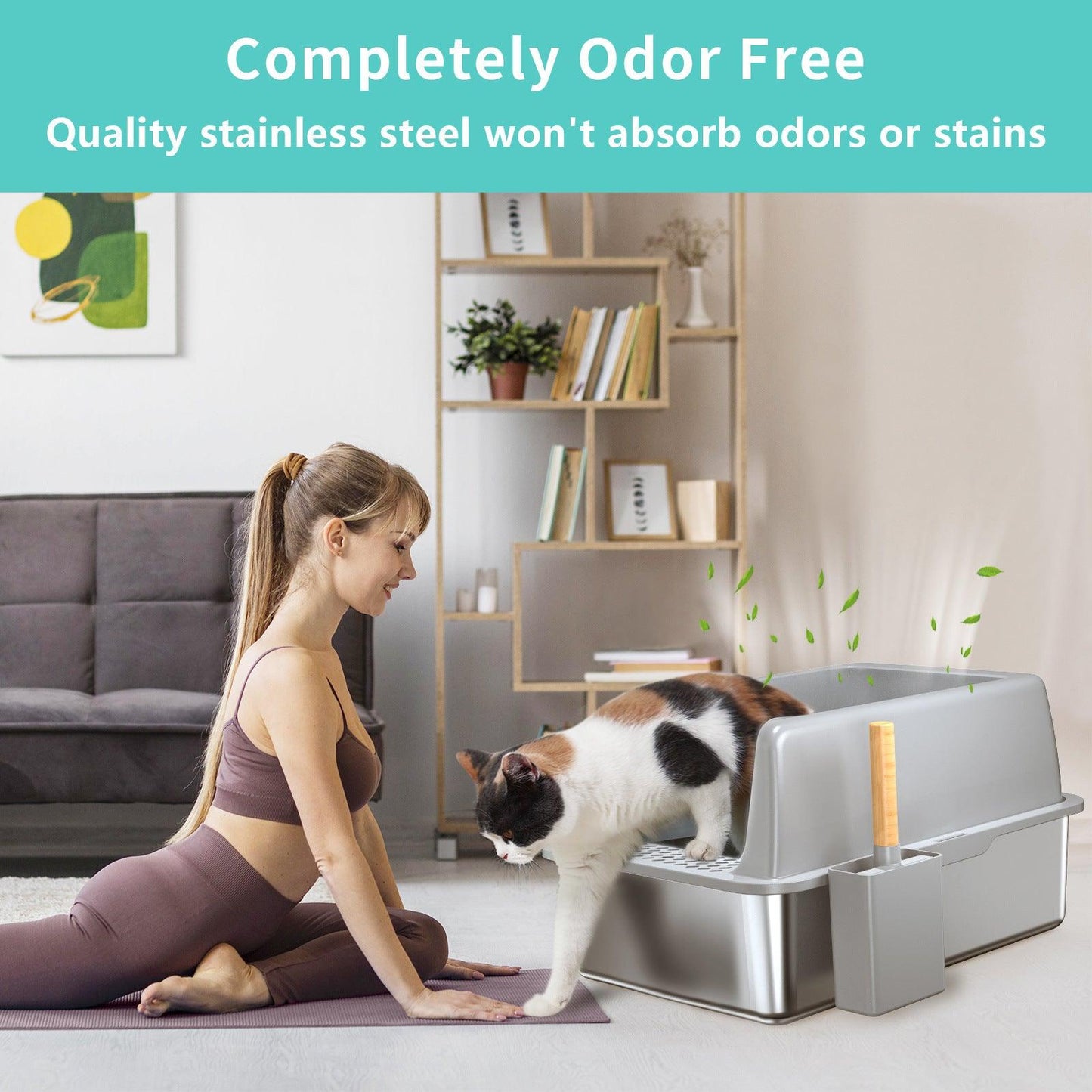 Stainless Steel Cat Litter Box – Durable, Hygienic, Easy to Clean - Pet's Dream