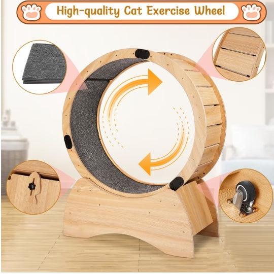 Treadmill With Carpeted Runway for Cats - Pet's Dream