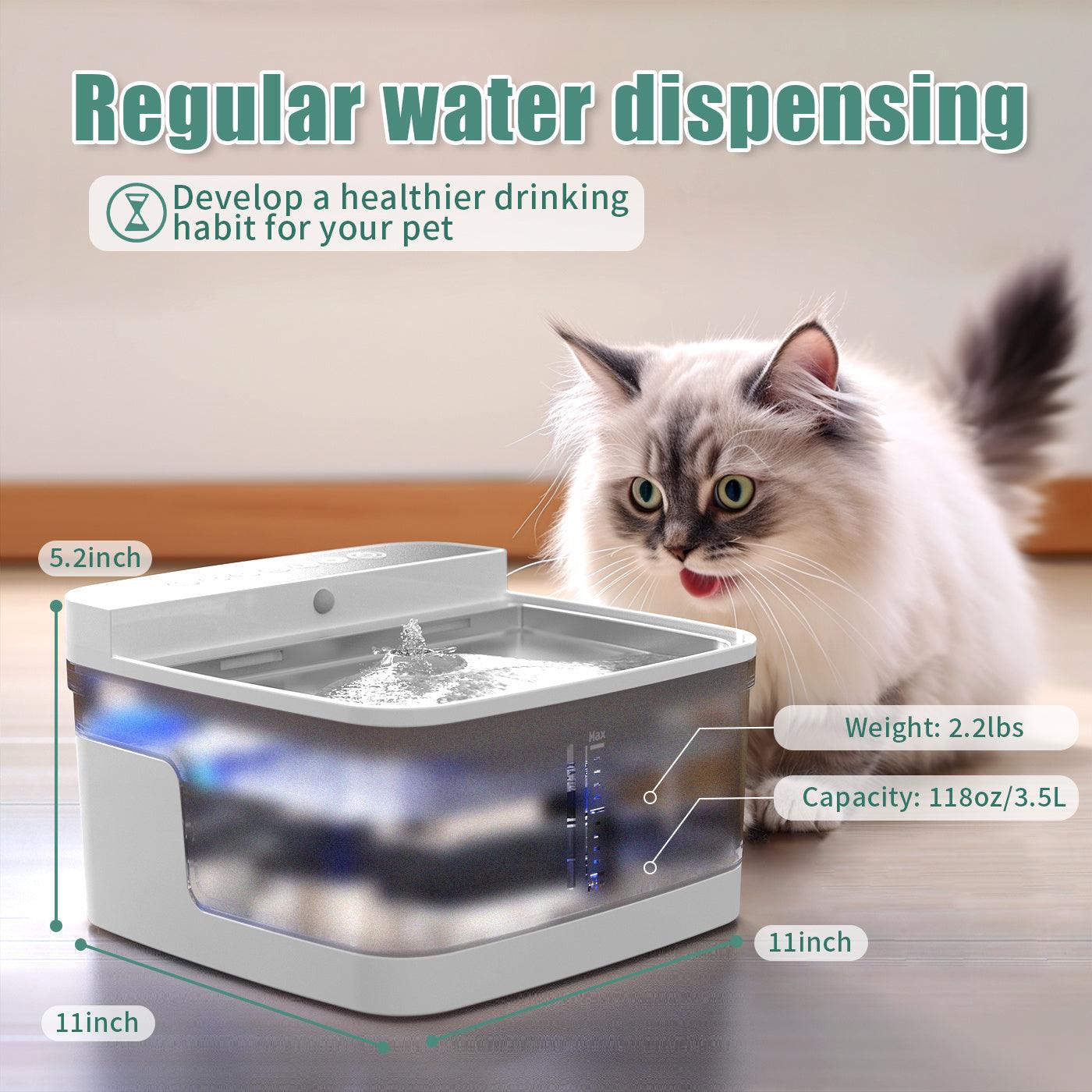 Water Dispenser for Dogs and Cats - Pet's Dream