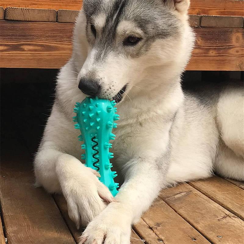 Cleaning Chew Toys For Dogs - Pet's Dream