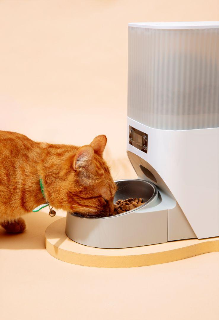 Nice and Useful - Feeders & Drinkers - Pet's Dream