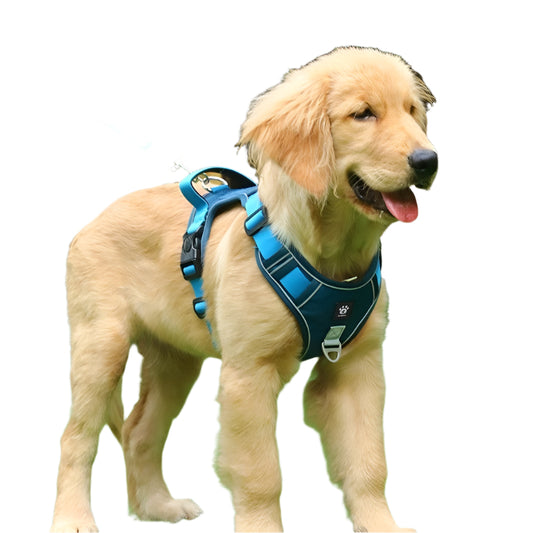 Vest-style Dog Harness For Medium And Large Dogs, Walking - Pet's Dream