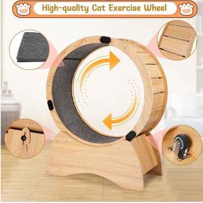Treadmill With Carpeted Runway for Cats - Pet's Dream