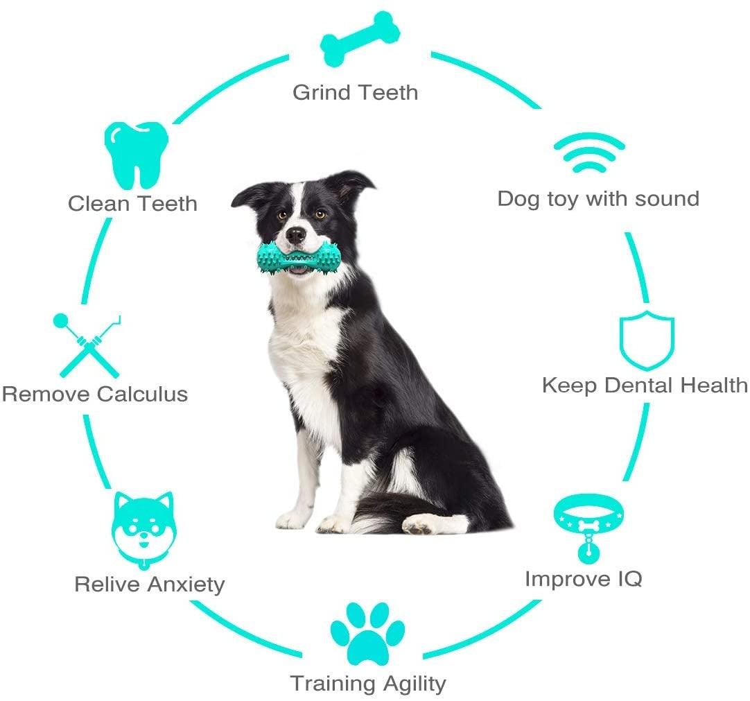Cleaning Chew Toys For Dogs - Pet's Dream