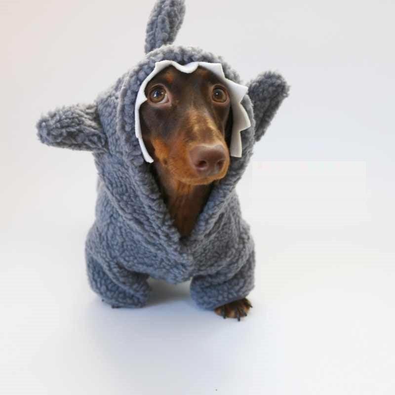 Fleece-lined Warm And Cute Shark Clothes for Dogs and Cats - Pet's Dream