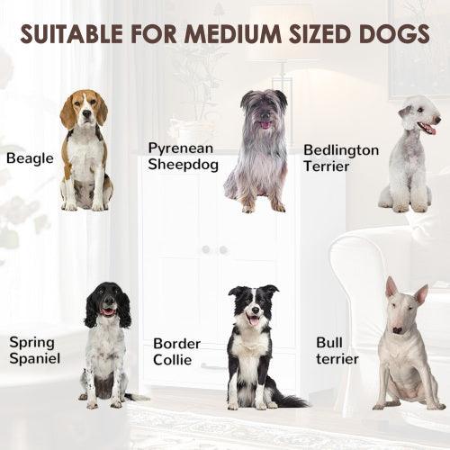 Feeding Station - Food Locker With Hidden Dog Bowl, Adjustable Panel, comfy Hook, for Medium Dog, White - Pet's Dream