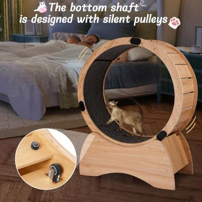 Treadmill With Carpeted Runway for Cats - Pet's Dream