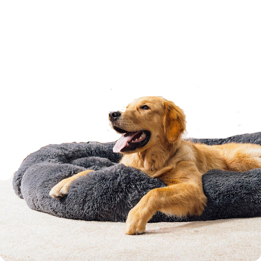 Fluffy, Comfy Bed for Dogs - Pet's Dream