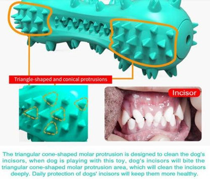Cleaning Chew Toys For Dogs - Pet's Dream