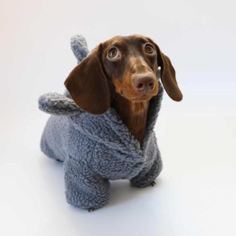 Fleece-lined Warm And Cute Shark Clothes for Dogs and Cats - Pet's Dream